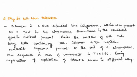 if-we-could-turn-on-telomerase-activity-in-all-our-cells-we-could-prevent-aging-2-38748