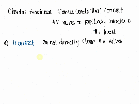 the-chordae-tendineae-a-close-the-atrioventricular-valves-b-prevent-the-av-valve-flaps-from-everting-68958