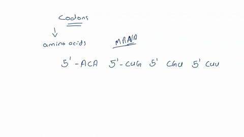 these-trnas-line-up-along-an-mrna-in-this-order-what-is-the-protein-they-will-produce-5-aca-5-cug-5-cgu-5-cuu-a-phe-cys-val-thr-b-lys-thr-gln-cys-c-thr-leu-arg-leu-d-cys-asp-ala-glu-35394