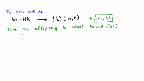 In cats the allele for short hair is dominant to the allele...