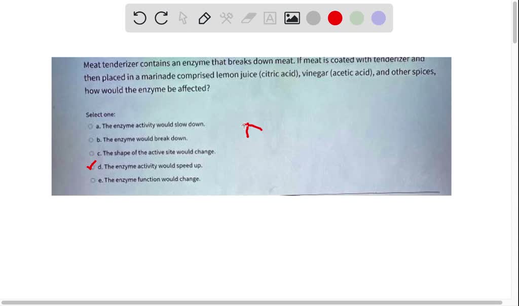 SOLVED Meat tenderizer contains an enzymne lhat breaks down meat meat