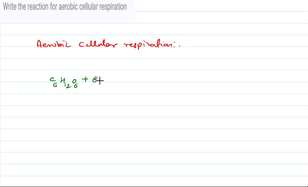 SOLVED Write The Reaction For Aerobic Cellular Respiration solved-write-the-reaction-for-aerobic-cellular-respiration