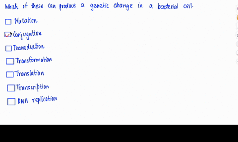 which-of-the-following-can-produce-a-genetic-change-in-a-bacterial-cell-mark-all-correct-answers-mutation_-conjugation-transduction-transformation-translation-transcription-dna-replication-64334