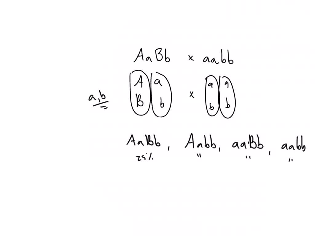 solved-consider-two-hypothetical-recessive-autosomal-genes-a-and-b