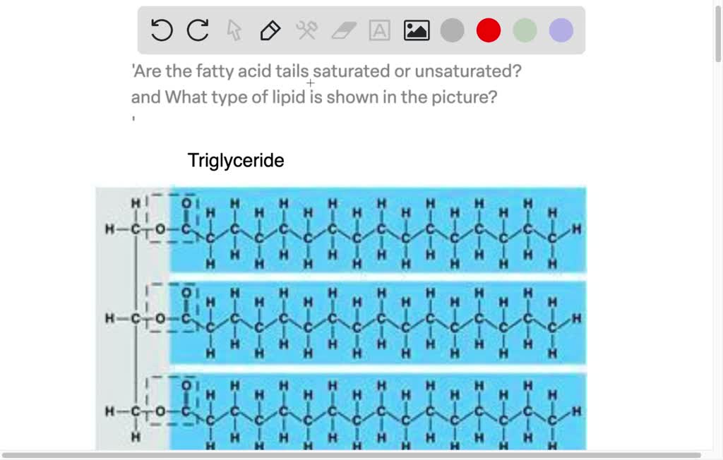 SOLVED 'Are the fatty acid tails saturated or unsaturated? and What