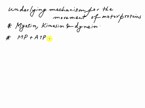 which-mechanism-is-responsible-for-movement-generated-by-motor-proteins-a-it-varies-with-the-type-of-motor-protein-involvedmyosin-kinesin-or-dynein-bmicrotubules-change-confirmation-forcing-54836