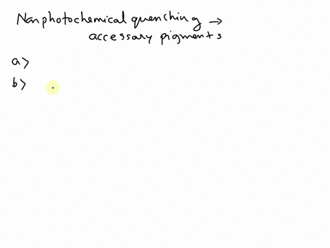 refer-t0-the-biochemistry-in-focus-section-of-your-texe-tor-ihis-chapter-antar-ihis-question-in-addition-nonphatochemical-quenching-what-role-do-accessory-pigments-have-plants-accessory-pigm-18508