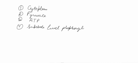 e-0-c-a-d-process-a-is-called-glycolysis-and-occurs-in-the-select-requires-enzymes-to-cut-the-6-carbon-glucose-into-two-3-carbon-select-glycolysis-produces-a-little-bit-of-the-molecule-f-whi-90076