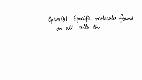 question-21-25-points-antigens-are-enzymes-secreted-by-phagocytes-to-destroy-a-pathogens-wall-cells-that-actively-protect-and-defend-the-body-against-invaders-specific-proteins-the-body-produces-to-de