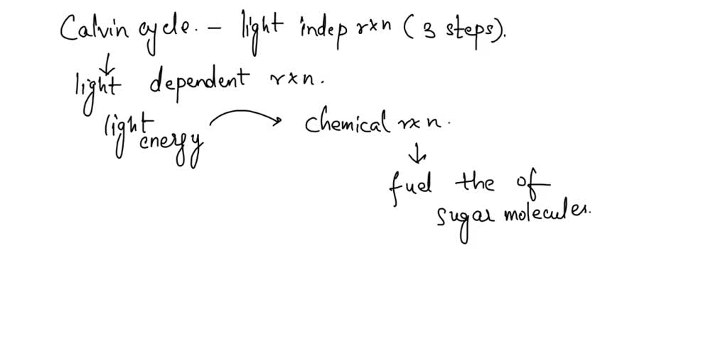 solved-why-should-the-light-dependent-reaction-occur-before-the-light