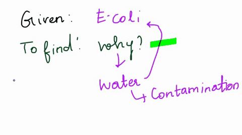 when-analyzing-water-for-potential-contamination-with-pathogens-most-scientists-only-look-for-e-coli-why-05324