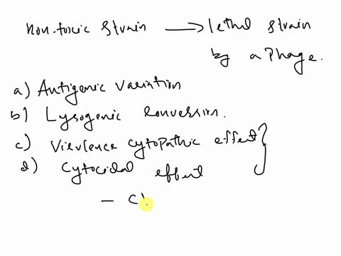 the-alteration-of-diphtheria-by-a-phage-carrying-a-toxin-gene-making-a-non-toxic-strain-of-diphtheria-into-a-lethal-strain-is-called-a-antigenic-variation-lysogenic-conversion-virulence-cyto-42371