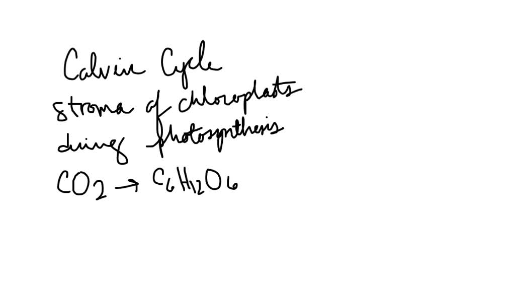 solved-what-best-summarizes-the-events-of-the-calvin-cycle