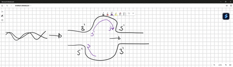 why-does-dna-have-a-leading-strand-and-a-lagging-strand-during-replicationselect-the-correct-row-below-that-fills-in-the-following-blanks-to-answer-the-question-above___1st___-has-to-attach-55088
