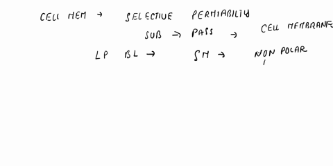 which-best-describes-the-permeability-of-a-membrane-81826