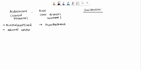 question-41-point-which-of-the-following-is-not-a-similarity-between-aldosterone-and-adh-both-1change-transport-across-epithelial-cell-membranes-in-the-nephron-2-result-in-changes-in-sodium-39676
