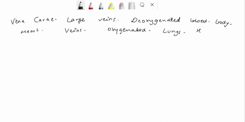 explain-the-roles-of-the-vena-cava-pulmonary-vein-aorta-and-pulmonary-artery-88429