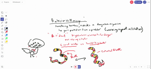 a-non-venomous-species-of-snake-has-a-wide-geographical-range-in-one-region-the-species-has-dull-coloration-and-in-another-region-the-species-exhibits-bright-coloration-that-resembles-a-local-venomous