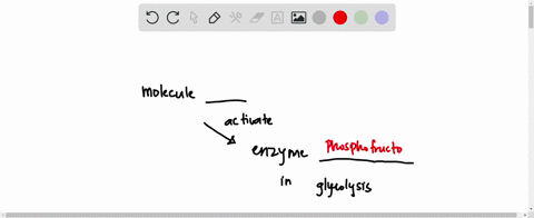 which-of-the-following-will-affect-the-rate-of-cellular-respiration-by-activating-an-enzyme-involved-in-glycolysis-oxygen-0-atp-0-adp-0-gtp-0-nadh-citrate-91935