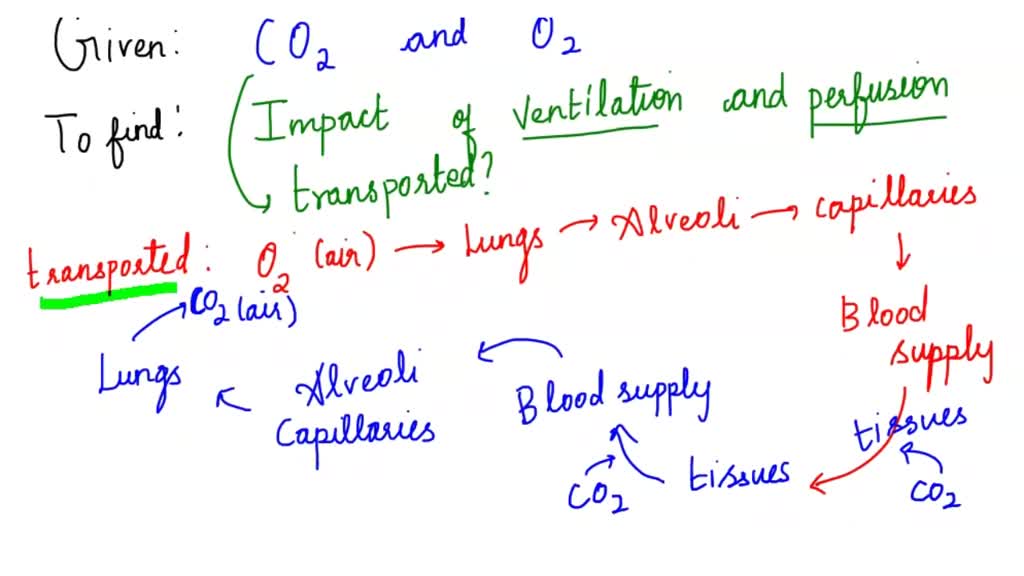 SOLVED Explain the impact of CO2 and O2 levels of ventilation and