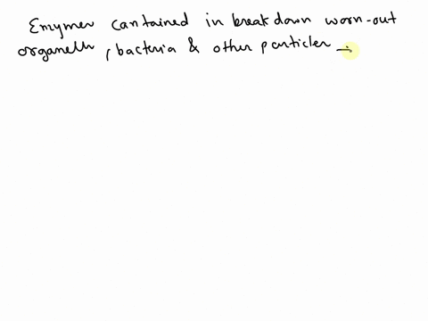 enzymes-contained-in-break-down-worn-out-organelles-bacteria-and-other-particles-a-lysosomes-c-endop-59056