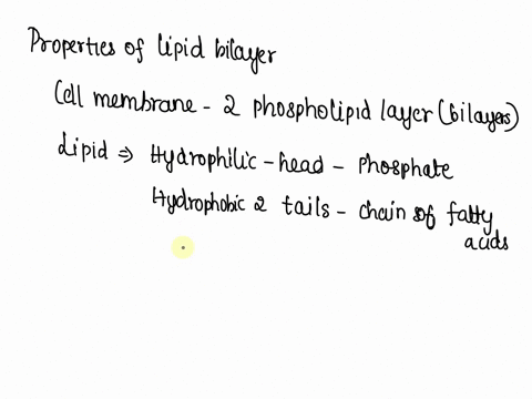 1-cells-exchange-many-substances-with-their-environments-using-simple-diffusion-through-the-lipid-bilayer-describe-the-properties-of-the-lipid-bilayer-and-what-properties-block-simple-diffus-35501