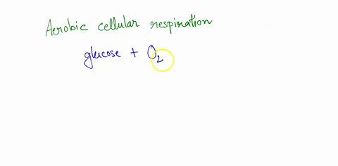 by-products-of-cellular-respiration-include-oxygen-and-heat-carbon-dioxide-and-water-fadh2-and-nadh_-nadh-and-atp-72712