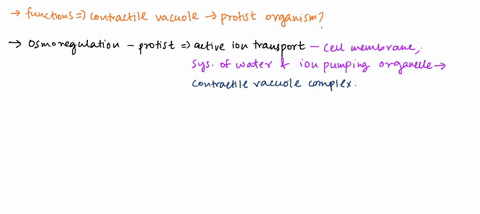 13-many-protist-organisms-have-an-internal-structure-known-as-a-contractile-vacuole-describe-how-the-contractile-vacuole-functions-in-a-protist-organism-76534