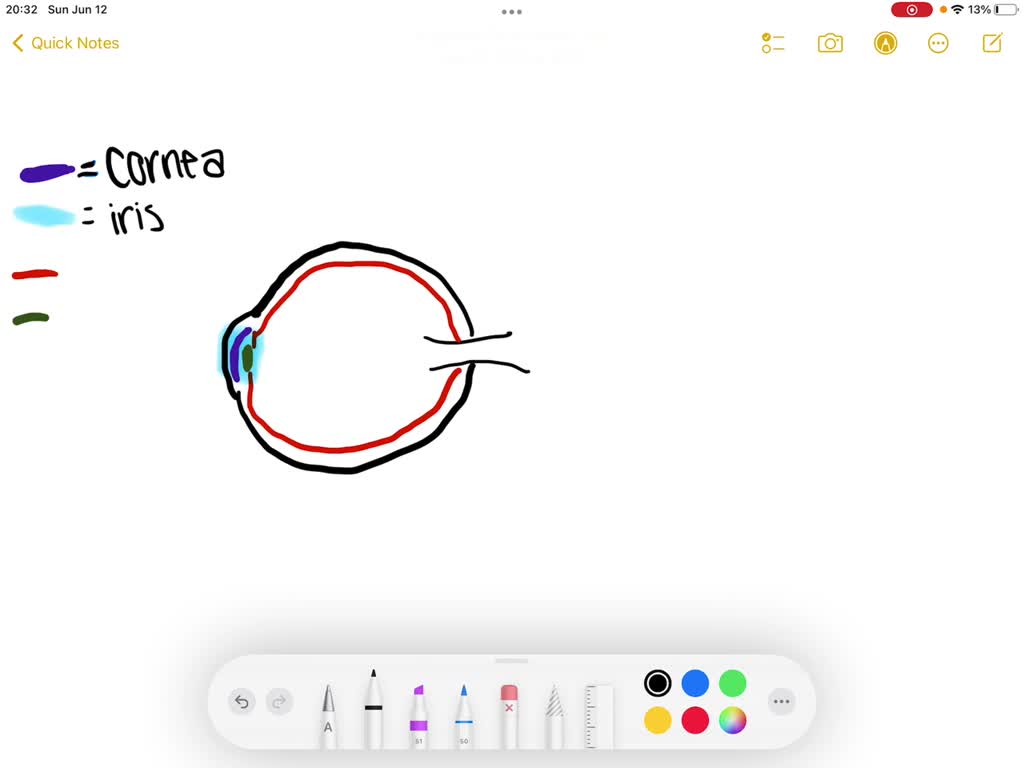 solved-part-of-the-eye-in-which-light-enters-the-eye-through-a