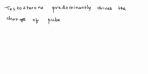 question-6-what-hormone-predominantly-drives-the-changes-of-puberty-in-males-progesterone-testes-stimulating-hormone-testosterone-estrogen-lh-35135