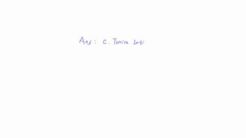 what-is-the-innermost-layer-of-a-blood-vessel-called-a-tunica-externa-b-tunica-media-c-tunica-intima-d-endothelium