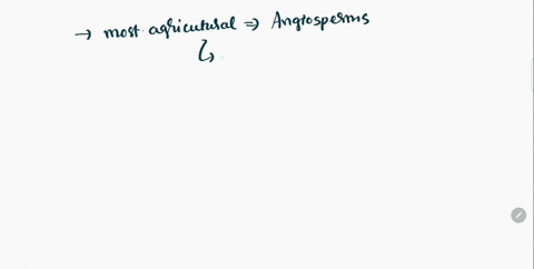 which-of-the-following-groups-of-plants-contains-most-of-our-agricultural-products-a-byrophytes-b-seedless-vascular-c-gymnosperms-d-angiosperms-06006