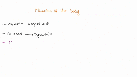 what-is-going-on-in-the-muscles-of-the-body-as-muscle-activity-is-increasedplease-add-references-10028