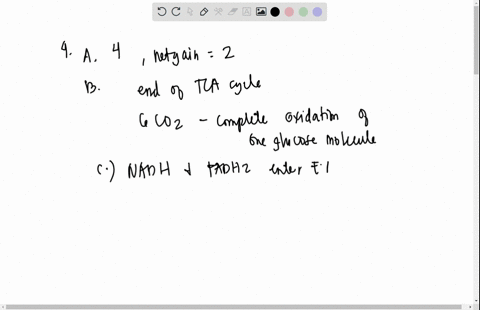 for-the-following-questions-4-6-make-a-diagram-summarizing-the-main-steps-in-cellular-respiration-glycolysis-pyruvate-oxidation-krebs-cycle-electron-transport-chain-chemiosmosis-fermentation-69531