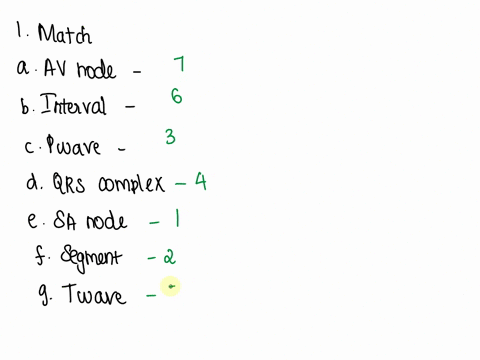 ww-60-6-match-the-terms-below-with-their-descriptions-the-intrinsic-conduction-system-structure-that-initiates-atrial-depolarization-aav-node-a-region-on-an-ecg-tracing-that-i-between-two-wa-97231