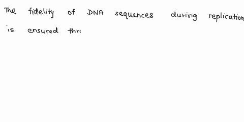 how-is-the-fidelity-of-dna-sequences-ensured-during-replication-select-one-proofreading-precise-nucleotide-selection-ail-of-the-given-choices-d-none-of-the-given-choices-mismatch-repair-87165
