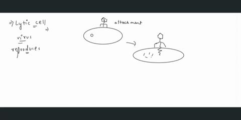 which-characteristic-is-not-associated-with-lytic-cyclea-death-of-host-cell-b-viruses-are-virulentc-formation-of-prophage-d-bacterial-cell-fails-to-reproduce-32564