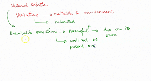 35_-of-the-following-which-is-not-part-of-darwins-theory-of-natural-selection-suitable-variations-in-a-population-tend-to-be-passed-on-while-unsuitable-variations-in-population-are-not-varia-71806