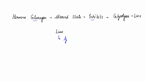 the-hormone-glucagon-signifies-the-starved-state-yet-it-inhibits-glycolysis-in-the-liver-how-does-2-82526