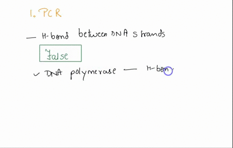 1-in-the-polymerase-chain-reaction-the-hydrogen-bonds-between-dna-strands-arebroken-and-the-strands-separated-by-an-enzyme-like-dna-helicase-added-to-thereaction-mixture-true-or-false-2-telo-09513