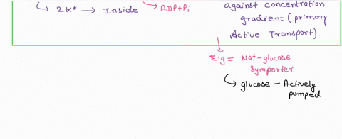 this-question-is-about-transport-across-membranes-is-transported-with-sodium-ions-into-the-proximal-convoluted-tubule-in-the-kidney_-glucose-walls-via-symporter-which-is-type-of-cotransporte-90745
