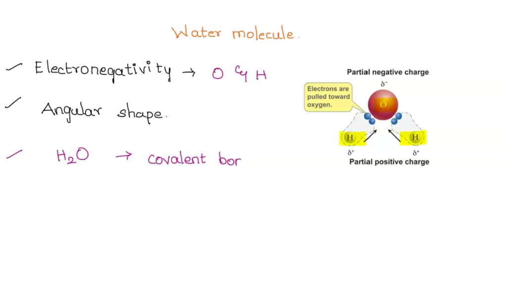 solved-how-does-the-polar-character-of-water-molecules-help-explain