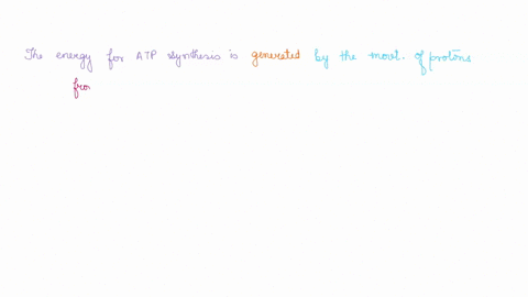 cuitecl-10-the-energy-for-atp-synthesis-is-side-of-the-inner-mitochondrial-generated-by-the-movement-of-protons-from-the-membrane-establishing-an_-matrix-sodium-ion-gradient-b-intermembrane-81214