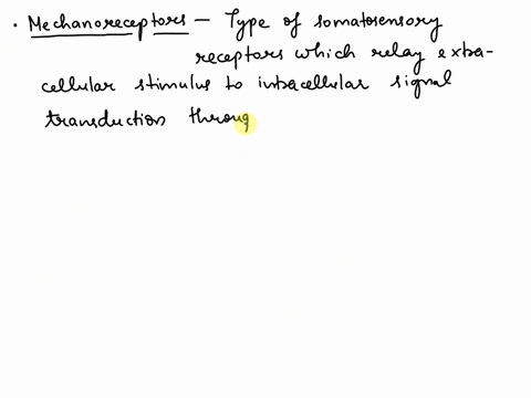 which-of-the-following-mechanoreceptors-are-not-found-in-the-skin-lamellated-corpuscles-proprioceptors-merkel-cell-fibers-tactile-corpuscles-82742