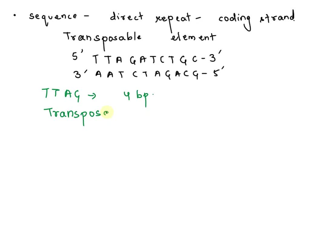 SOLVED: What is the correct answer and why? LO56: Create the direct ...