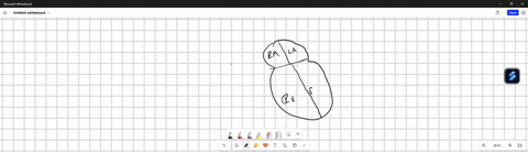 shideh-has-a-defect-in-her-tricuspid-valve-this-would-affect-blood-flow-between-which-chambers-o-left-atria-and-left-ventricle-o-left-ventricle-and-aorta-o-right-atria-and-right-ventricle-o-48066