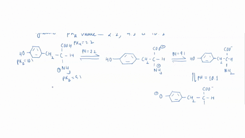 q1-the-amino-acid-tyrosine-has-pka-values-22-91-and-101-cooh-ho-ch2-show-the-stepwise-ionization-of-tyrosine-as-a-function-of-ph-at-what-ph-tyrosine-exists-as-zwitterionic-form-at-what-ph-ty-07792