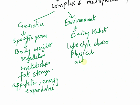 obesity-is-a-commonly-discussed-topic-with-many-different-opinions-when-it-comes-to-causes-and-influences-we-know-that-environment-genetics-and-diseases-can-all-contribute-to-obesity-but-the-37702