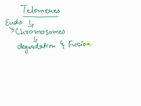 question-3-1-point-saved-what-would-happen-if-eukaryotic-cells-did-not-have-telomeres-at-the-3-end-of-the-dna-template-strands-nothing-telomeres-have-no-function-the-cells-would-start-to-div-48399