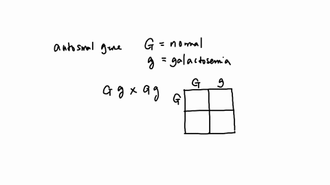 galactosemia-is-a-recessive-human-disease-susan-and-her-husband-are-both-heterozygous-for-the-galactosemia-gene-if-they-have-two-children-what-is-the-probability-that-one-of-their-children-w-22602